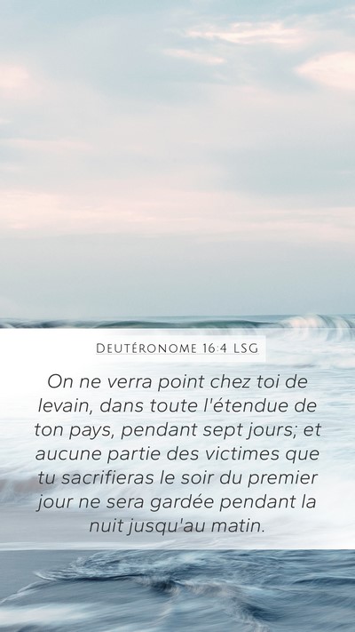 Deutéronome 16:4 LSG Bible Verse Image