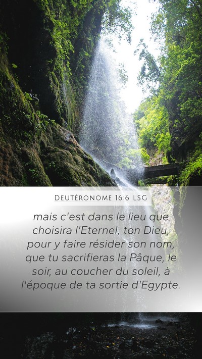 Deutéronome 16:6 LSG Bible Verse Image