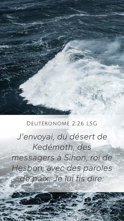Deutéronome 2:26 LSG Bible Verse Image