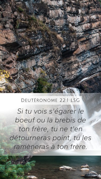 Deutéronome 22:1 LSG Mobile Phone Wallpaper - Si tu vois s'égarer le boeuf ou la brebis de ton - Mobile Bible Verse Wallpaper