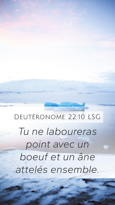 Deutéronome 22:10 LSG Mobile Phone Wallpaper - Tu ne laboureras point avec un boeuf et un âne - Mobile Bible Verse Wallpaper