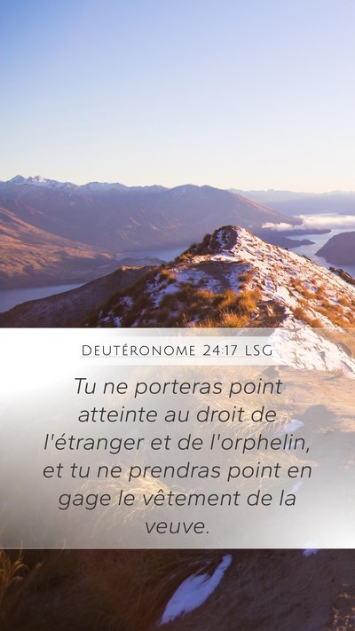 Deutéronome 24:17 LSG Bible Verse Image