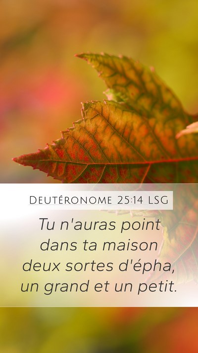 Deutéronome 25:14 LSG Mobile Phone Wallpaper - Tu n'auras point dans ta maison deux sortes - Mobile Bible Verse Wallpaper