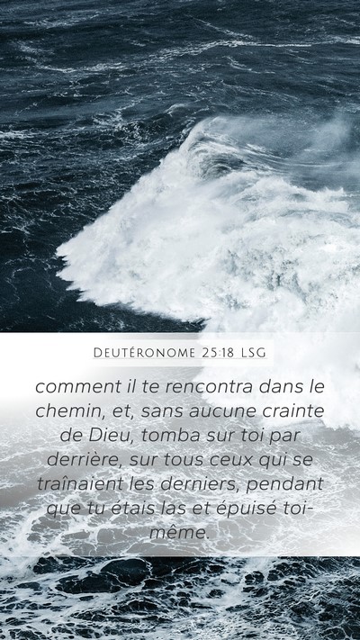 Deutéronome 25:18 LSG Bible Verse Image