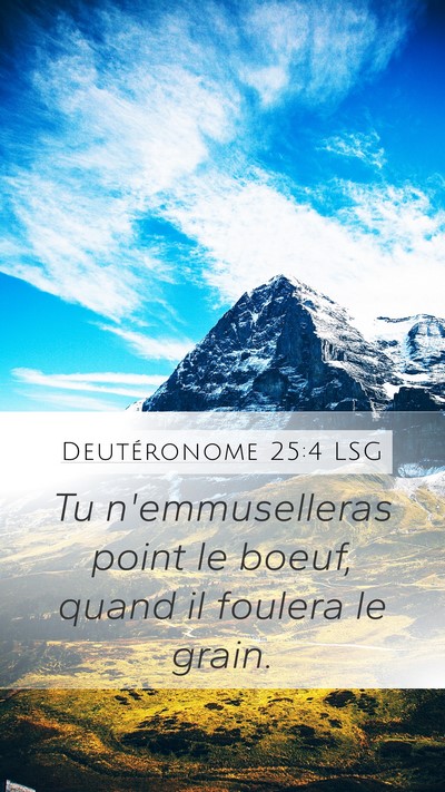 Deutéronome 25:4 LSG Bible Verse Image