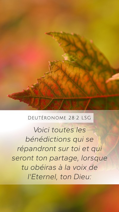 Deutéronome 28:2 LSG Bible Verse Image