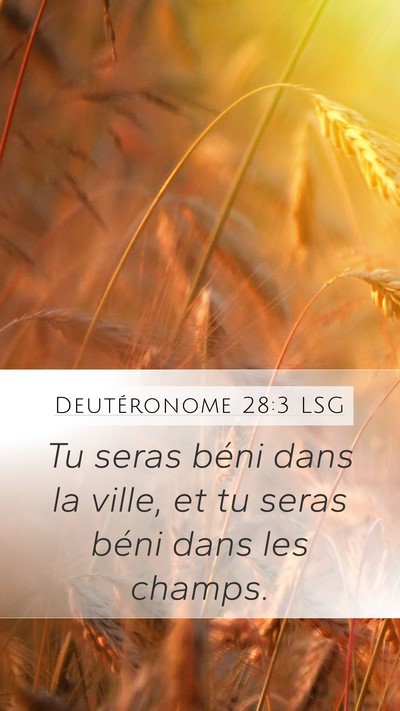 Deutéronome 28:3 LSG Bible Verse Image