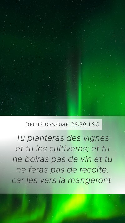 Deutéronome 28:39 LSG Bible Verse Image