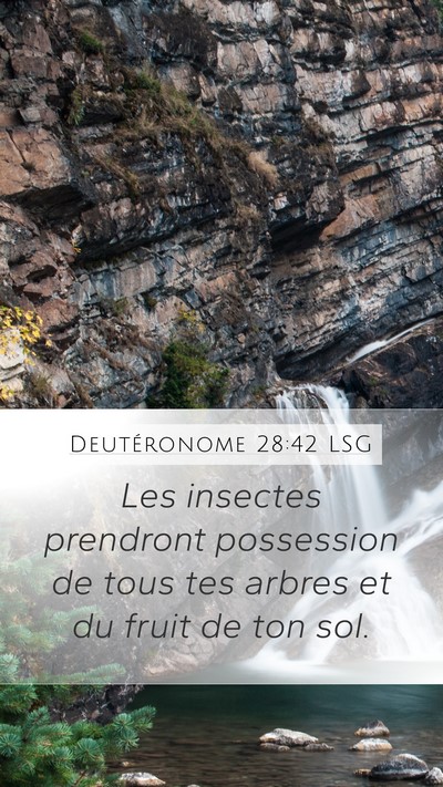 Deutéronome 28:42 LSG Bible Verse Image