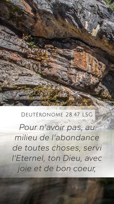 Deutéronome 28:47 LSG Bible Verse Image