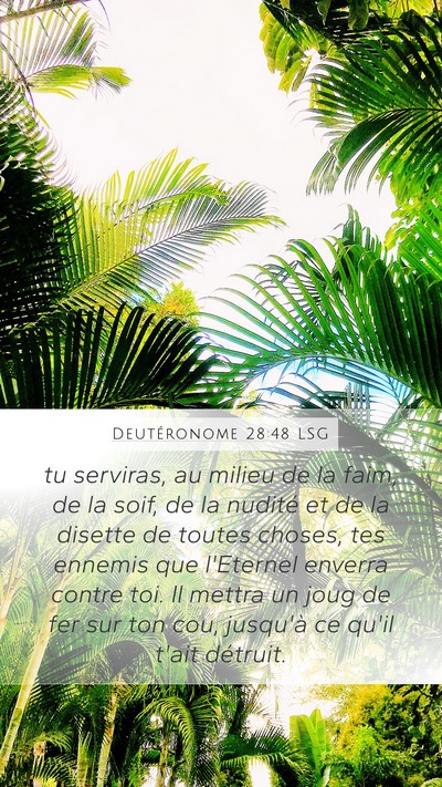 Deutéronome 28:48 LSG Bible Verse Image