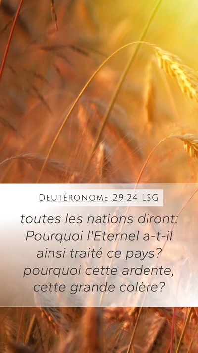 Deutéronome 29:24 LSG Bible Verse Image