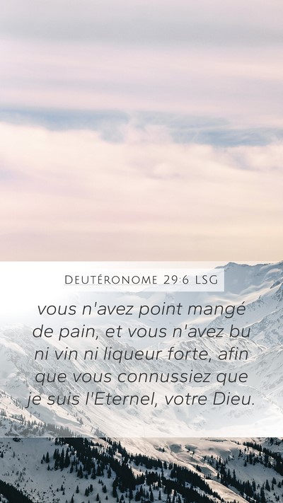 Deutéronome 29:6 LSG Mobile Phone Wallpaper - vous n'avez point mangé de pain, et vous n'avez - Mobile Bible Verse Wallpaper