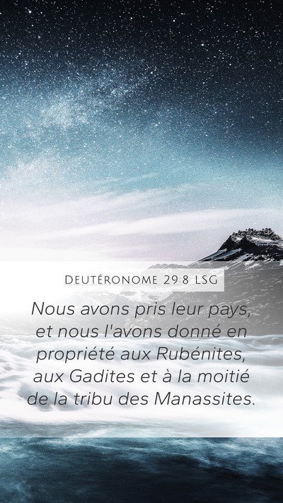 Deutéronome 29:8 LSG Bible Verse Image