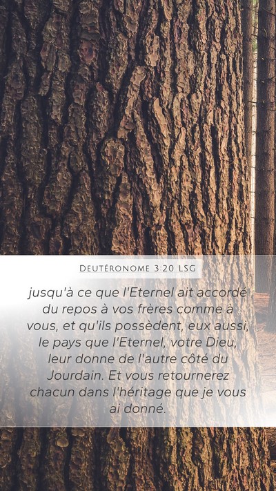Deutéronome 3:20 LSG Bible Verse Image