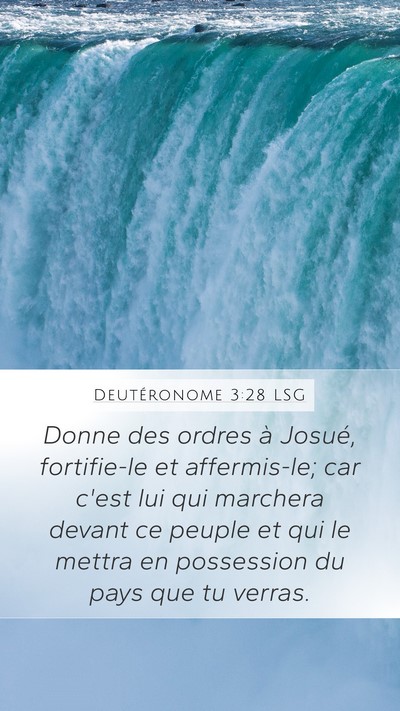 Deutéronome 3:28 LSG Bible Verse Image