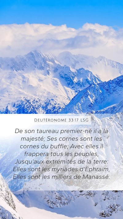 Deutéronome 33:17 LSG Bible Verse Image