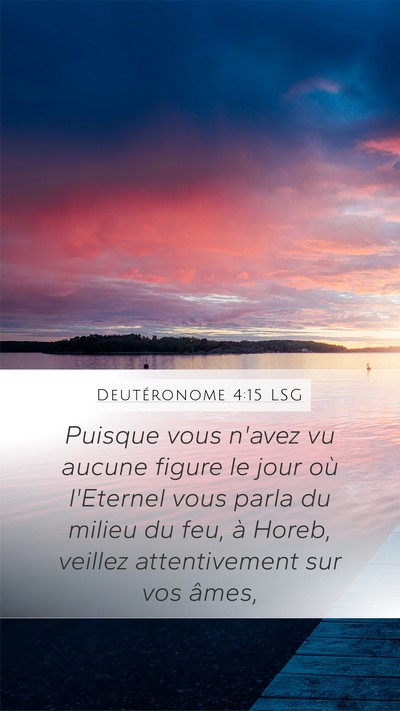 Deutéronome 4:15 LSG Bible Verse Image