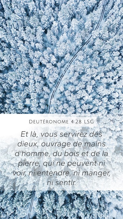 Deutéronome 4:28 LSG Bible Verse Image