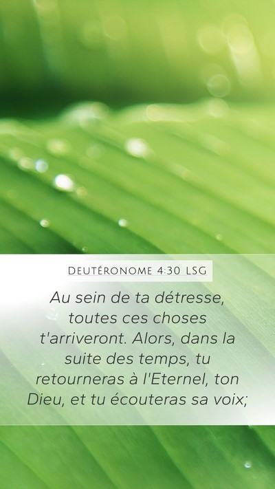 Deutéronome 4:30 LSG Bible Verse Image