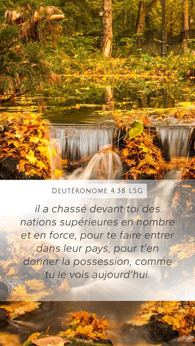 Deutéronome 4:38 LSG Bible Verse Image