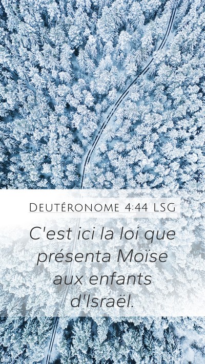 Deutéronome 4:44 LSG Bible Verse Image
