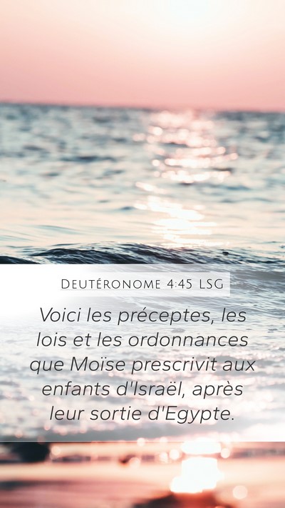 Deutéronome 4:45 LSG Bible Verse Image