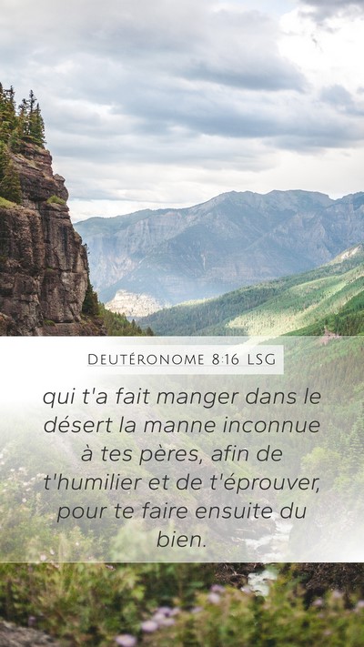 Deutéronome 8:16 LSG Bible Verse Image