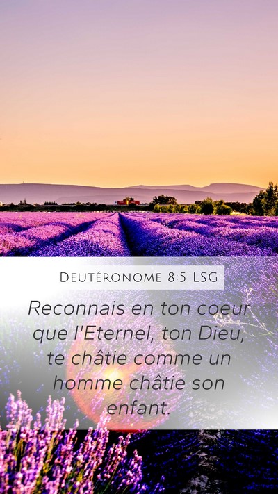 Deutéronome 8:5 LSG Bible Verse Image