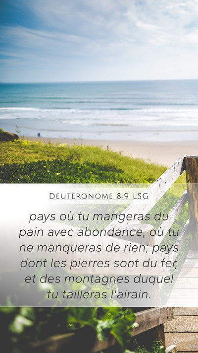 Deutéronome 8:9 LSG Bible Verse Image