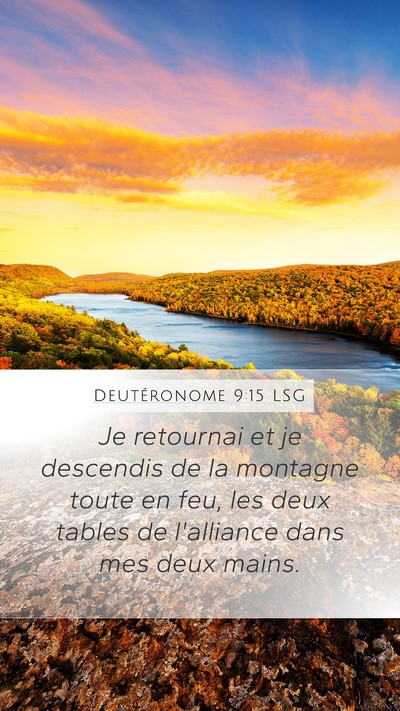 Deutéronome 9:15 LSG Bible Verse Image