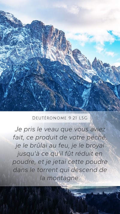 Deutéronome 9:21 LSG Bible Verse Image