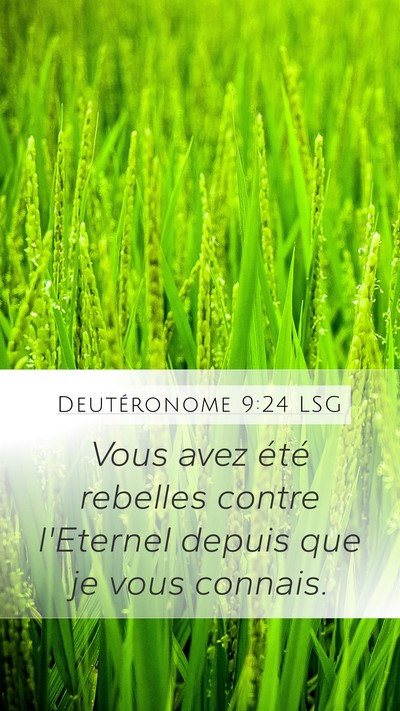 Deutéronome 9:24 LSG Bible Verse Image