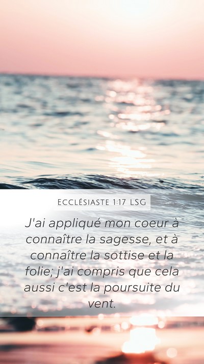 Ecclésiaste 1:17 LSG Bible Verse Image