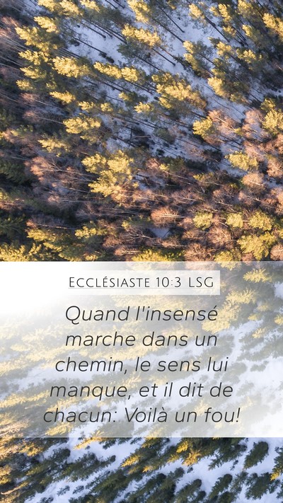 Ecclésiaste 10:3 LSG Bible Verse Image