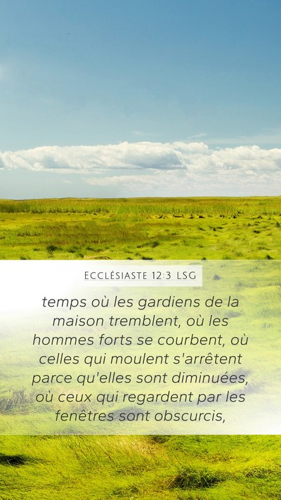 Ecclésiaste 12:3 LSG Bible Verse Image