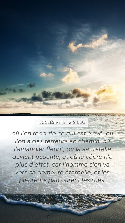Ecclésiaste 12:5 LSG Bible Verse Image