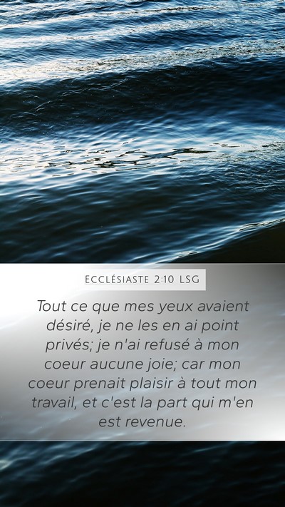 Ecclésiaste 2:10 LSG Bible Verse Image