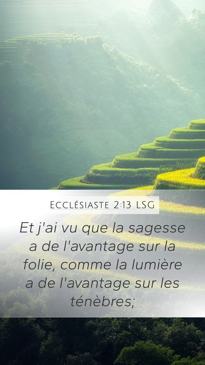 Ecclésiaste 2:13 LSG Bible Verse Image