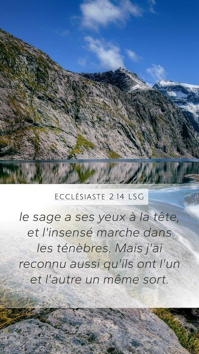 Ecclésiaste 2:14 LSG Mobile Phone Wallpaper - le sage a ses yeux à la tête, et l'insensé - Mobile Bible Verse Wallpaper