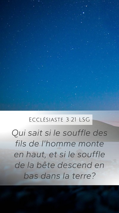 Ecclésiaste 3:21 LSG Bible Verse Image