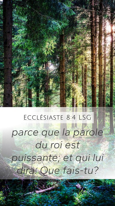 Ecclésiaste 8:4 LSG Bible Verse Image
