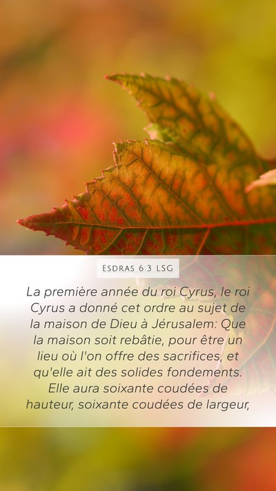 Esdras 6:3 LSG Bible Verse Image