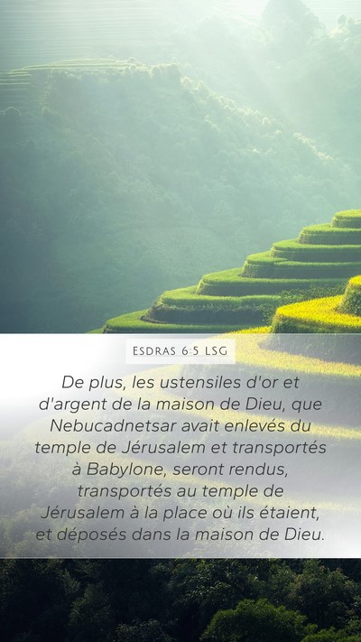 Esdras 6:5 LSG Mobile Phone Wallpaper - De plus, les ustensiles d'or et d'argent de la - Mobile Bible Verse Wallpaper