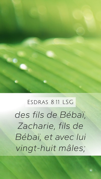 Esdras 8:11 LSG Bible Verse Image
