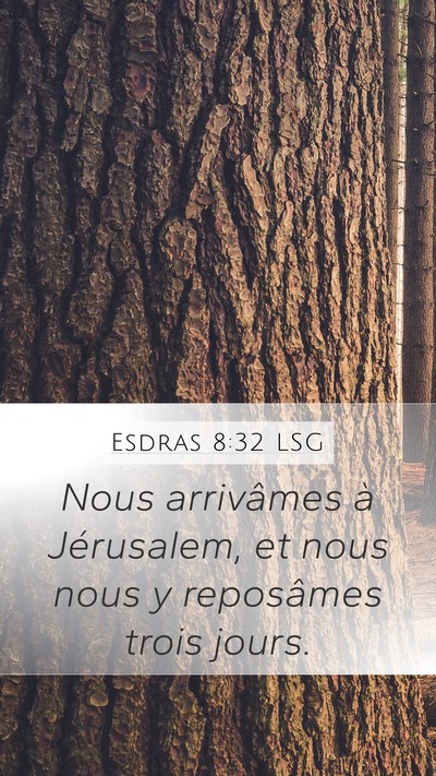 Esdras 8:32 LSG Mobile Phone Wallpaper - Nous arrivâmes à Jérusalem, et nous nous y - Mobile Bible Verse Wallpaper
