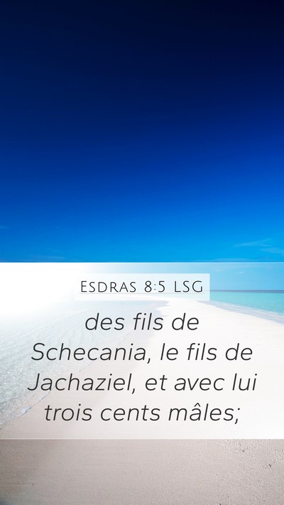 Esdras 8:5 LSG Mobile Phone Wallpaper - des fils de Schecania, le fils de Jachaziel, et - Mobile Bible Verse Wallpaper