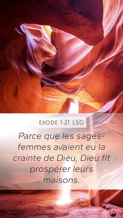 Exode 1:21 LSG Bible Verse Image