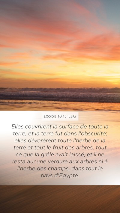Exode 10:15 LSG Bible Verse Image