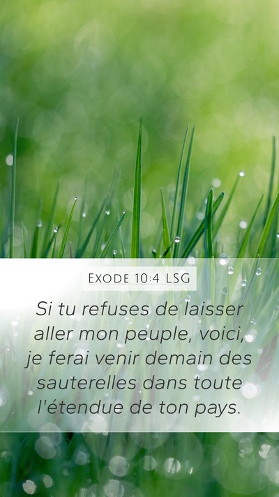 Exode 10:4 LSG Bible Verse Image